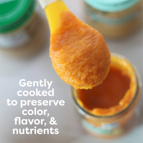 Beech-Nut Organics Banana Pumpkin Oats Baby Food Jar - Banana Pumpkin Oats
