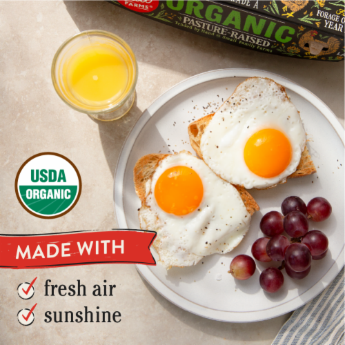 Vital Farms Pasture-Raised Large Brown Grade-A Organic Eggs - 18 ct. / Organic Pasture