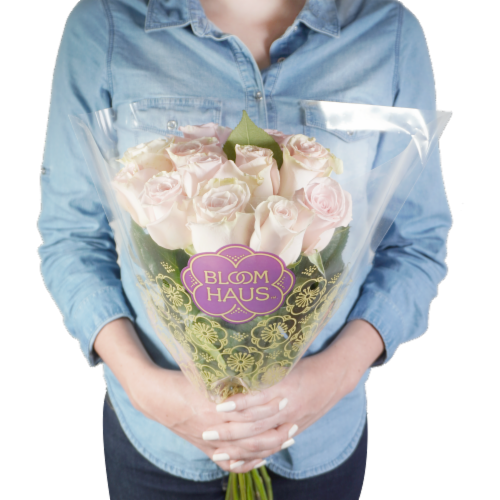 Bloom Haus Dozen Rose Orange - Pink