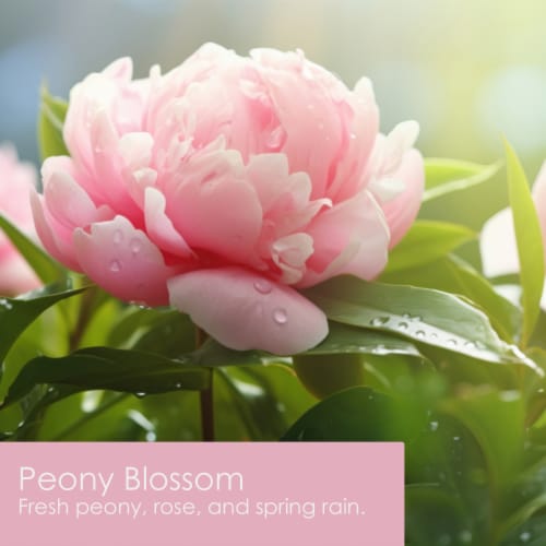 Tuscany Candle™ Triple Pour Jar Candle - Peony Blossom - Peony Blossom