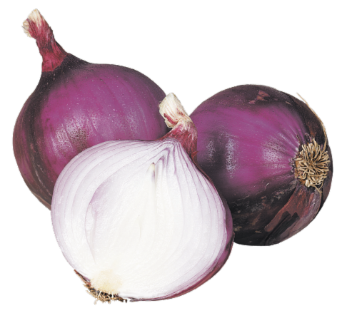 Jumbo Red Onions - Organic Red, front