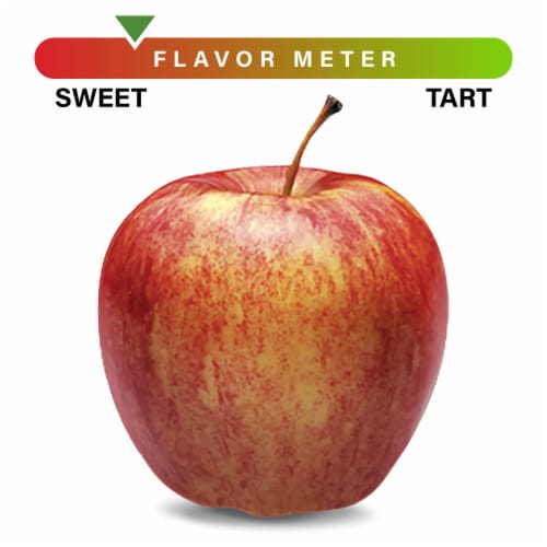 Large Gala Apple - Each - 5 lb, back