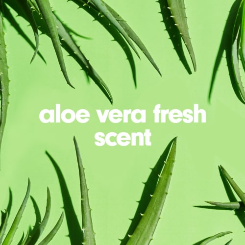 Softsoap Soothing Clean Aloe Liquid Hand Soap Kitchen and Bathroom Hand Soap - Softsoap Soothing Clean Aloe Liquid Hand Soap Kitchen and Bathroom Hand Soap