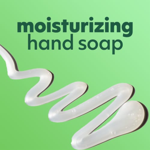 Softsoap Soothing Clean Aloe Liquid Hand Soap Kitchen and Bathroom Hand Soap - Softsoap Soothing Clean Aloe Liquid Hand Soap Kitchen and Bathroom Hand Soap