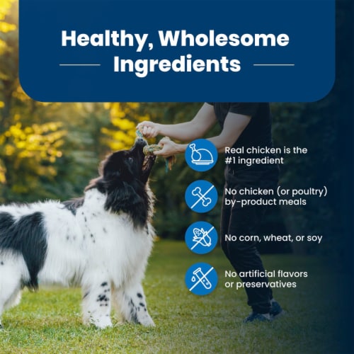 Blue Buffalo Life Protection Formula Natural Adult Dry Dog Food Chicken & Brown Rice - Blue Buffalo Life Protection Formula Natural Adult Dry Dog Food Chicken & Brown Rice