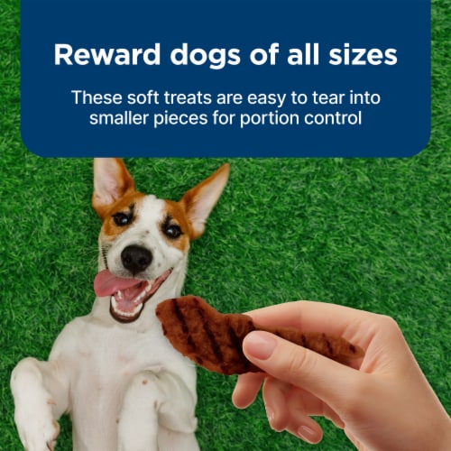 Blue Buffalo Nudges Grillers Natural Dog Treats Beef - Blue Buffalo Nudges Grillers Natural Dog Treats Beef