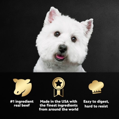 Cesar Adult Soft Wet Dog Food Grilled Steak and Eggs Classic Loaf in Sauce - Cesar Adult Soft Wet Dog Food Grilled Steak and Eggs Classic Loaf in Sauce