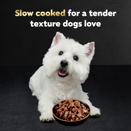 Cesar Filets in Gravy Adult Soft Wet Dog Food Prime Rib - Cesar Filets in Gravy Adult Soft Wet Dog Food Prime Rib