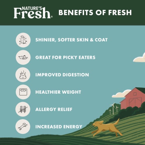 Freshpet Healthy & Natural Dog Food, Fresh Chicken Recipe - Freshpet Healthy & Natural Dog Food, Fresh Chicken Recipe