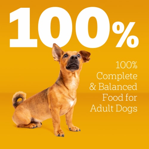Pedigree Small Dog Adult Dry Dog Food Grilled Steak and Vegetable Flavor - Pedigree Small Dog Adult Dry Dog Food Grilled Steak and Vegetable Flavor