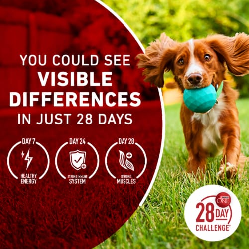 Purina ONE High Protein Adult Dry Dog Food Chicken & Rice - Purina ONE High Protein Adult Dry Dog Food Chicken & Rice