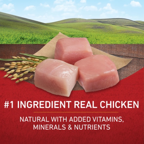 Purina ONE High Protein Adult Dry Dog Food Chicken & Rice - Purina ONE High Protein Adult Dry Dog Food Chicken & Rice