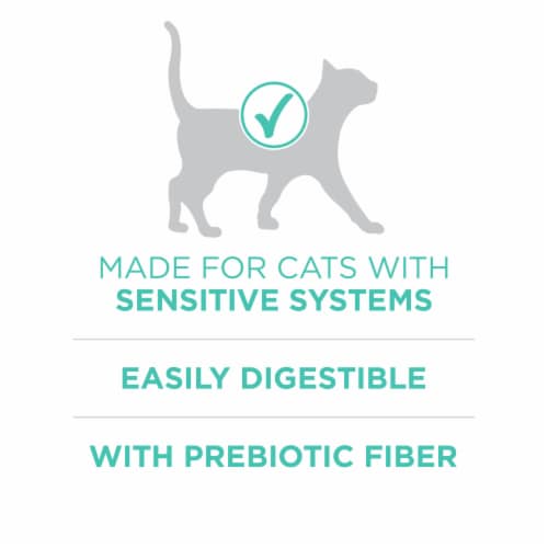 Purina ONE +Plus Sensitive Skin & Stomach Adult Dry Cat Food Real Turkey - Purina ONE +Plus Sensitive Skin & Stomach Adult Dry Cat Food Real Turkey
