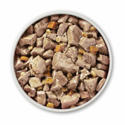 Purina ONE Wet Dog Food Tender Cuts in Gravy Beef & Barley - Purina ONE Wet Dog Food Tender Cuts in Gravy Beef & Barley
