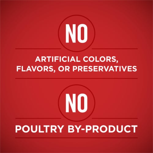 Purina ONE Wet Dog Food Tender Cuts in Gravy Beef & Barley - Purina ONE Wet Dog Food Tender Cuts in Gravy Beef & Barley